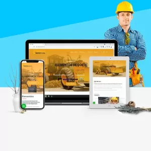 pagina web Carrillo Import